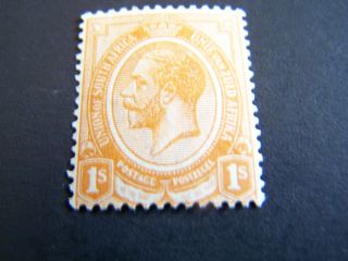 South Africa.  11.  King George V. photo
