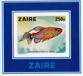 Congo (zaire) - 1978 - Fish Micralestes Interruptus - photo