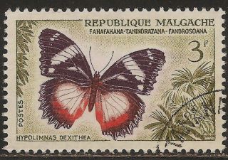 1960 Madagascar,  Malagasy: Scott 310 Butterfly (3 F - Hypolimnas Dexithea) photo