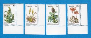 Transkei Scott 24 - 27 1977 Medicinal Plants photo