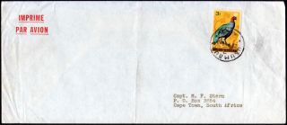 Burundi 1966 Airmail Cover Bird Stamp To South Africa photo