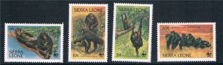 Sierra Leone 1983 Endangered Species Sg 745/8 photo