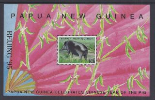1995 Papua Guinea Beijing ' 95 Year Of The Pig Ms Muh/mnh photo