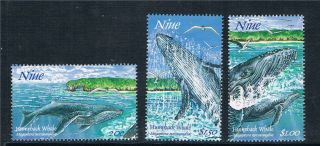 Niue 1997 Whales 1st Series Sg 822 - 4 photo