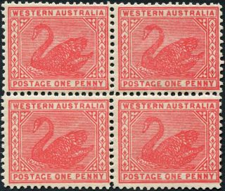 Western Australia 1905 (kevii) 1d Rose - Pink Sg139 Cv £72.  00+ Block Of 4 photo