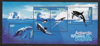 Australia Antarctica - L97a - S.  Sheet - Whales - 1995 - - B3878 photo
