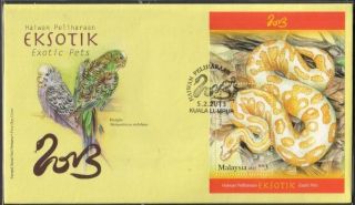Malaysia 2013 Exotic Pets Phyton Budgies S/s Fdc Cover photo