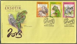 Malaysia 2013 Exotic Pets Hedgehog Iguana Glider Fdc Cover photo
