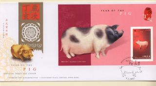 Hong Kong 2007 Fdc Ss China Year Of Pig. photo