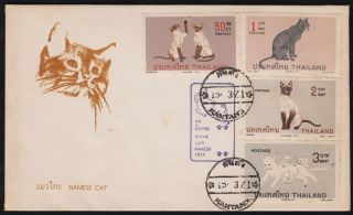 Thailand 1971 Siamese Cat Issue - Fdc photo