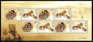 China Stamp 2004 - 19 South China Tiger 华南虎 M/s photo
