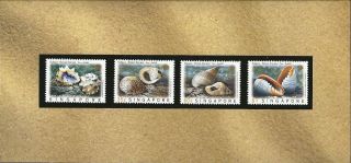 Singapore - Thailand Joint Issue 1997 Shells Features Presentation Pack photo