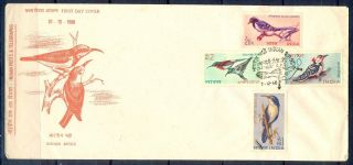 J347 - India 1968.  Bird.  Rhino.  Blue Magpie.  Babbler.  Sunbird.  Woodpecker. photo