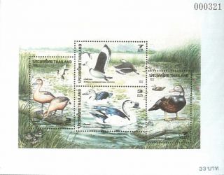 Thailand Stamp,  1996 Ss142 Duck S/s,  Animal,  Bird,  Wildlife,  Place photo