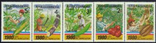 Dominican Agriculture Year Sc 825 - 9 1980 photo
