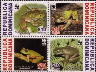 Dominican Wwf Frog Fauna In Danger Of Extinction Sc 1510 2011 photo