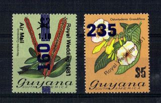 Guyana 1981/2 Royal Wedding 1.  10 Official Commemorative Stamp Ex Booklet photo