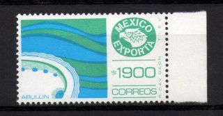 Mexico Exporta Type Xiii 1900p Abalone photo