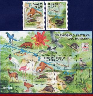 2554 - 56 Brazil 1995 Lubrapex Phil.  Exhibition,  Birds,  Fauna,  Mi 2664 - 65 & B99, photo