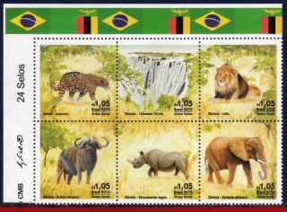 10 - 42 Brazil 2010 Animals & Fauna,  Relat.  Zambia,  Waterfalls,  Elephant,  Lion,  Tiger photo
