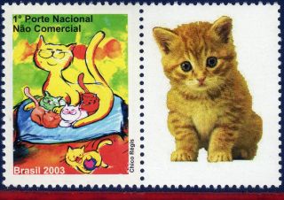2913 - G1 Brazil 2003 2004 - Cats,  Stamp Personalized,  Sc 2913, photo