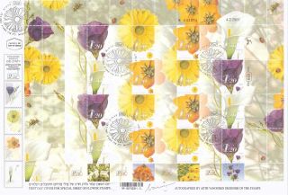 Israel Full Flower Sheet First Day Registered Cover 2001,  Signed By Designer photo