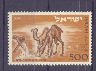Israel Stamp 1950 Negev Camel In The Desert Lightly Hinged Mlh Scott 25 Vf photo