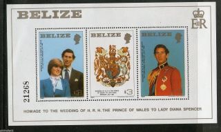 Belize 1981 Lady Diana & Prince Charls Royal Wedding Sc 554 M/s 13328 photo