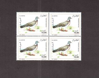 Algeria 2005 - Birds 