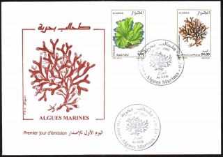 Algeria 2003 - Seaweeds 