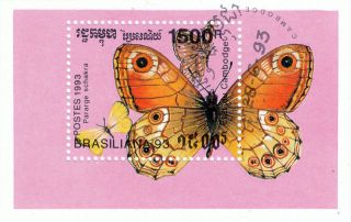 Cambodia - 1993 - Butterfly Pararge Schakra S/s photo
