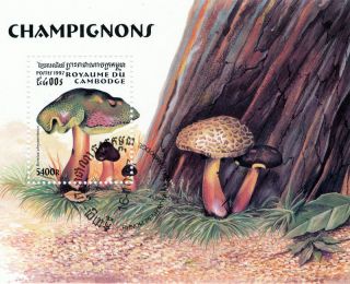 Cambodia - 1997 - Mushrooms S/s photo