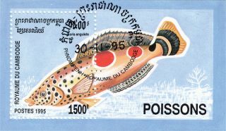 Cambodia - 1995 - Fish Coris Angulta S/s photo