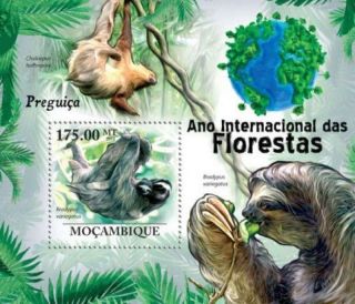 Mozambique - Sloth Animals - Stamp Souvenir Sheet 13a - 586 photo