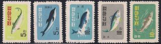 Corea - 1961 Fishes - Vf 293 - 97 photo