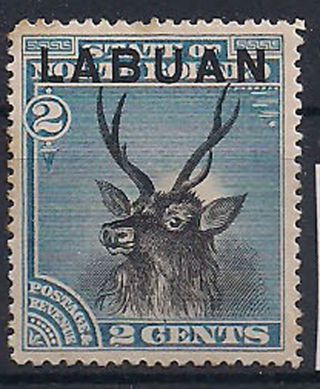 Labuan - 1894 Wild Animal Mlh - Vf 48 photo
