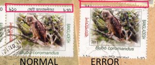 Stamp Error Bangladesh Major Perf Shifted Owl Birds Bengali Omitted Only Known photo