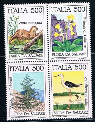 Italy Sc1618 - 16191634 - 1637anatureconservationblock Of4/wildanimals/bird&faunamnh photo