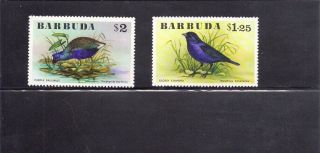 Barbuda 1976 Birds Scott 242 - 43 photo
