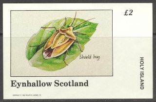 Eynhallow (br.  Local) 1982 Insects Shield Bug S/s 2£ Ne076 photo