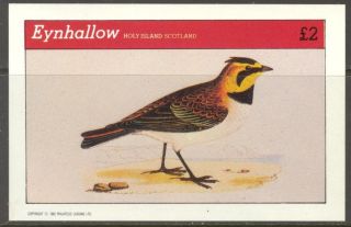 Eynhallow (br.  Local) 1982 Birds I S/s 2£ Ne105 photo