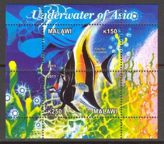 2011 Exotic Fishes Of Asia Sheet Of 2 Cb108 photo