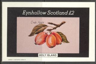 Eynhallow (br.  Local) 1982 Fruits Crab Apple S/s 2£ Ne115 photo