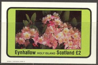Eynhallow (br.  Local) 1982 Flowers I S/s 2£ Ne093 photo