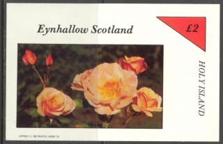 Eynhallow (br.  Local) 1982 Flowers Viii Roses S/s 2£ Ne100 photo