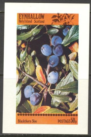 Eynhallow (br.  Local) 1982 Fruits Berries Blackthorn Sloe S/s 2£ Ne118 photo
