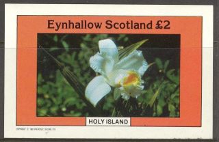 Eynhallow (br.  Local) 1982 Flowers Ii S/s 2£ Ne094 photo