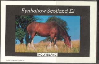 Eynhallow (br.  Local) 1982 Horses S/s 2£ Ne078 photo