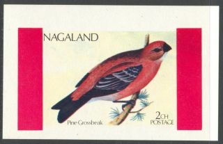 Nagaland 1972 Birds Ii Pine Grossbeak S/s Nn010 photo