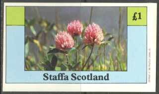 Staffa (br.  Local) 1982 Flowers Vii S/s 1£ Ns030 photo